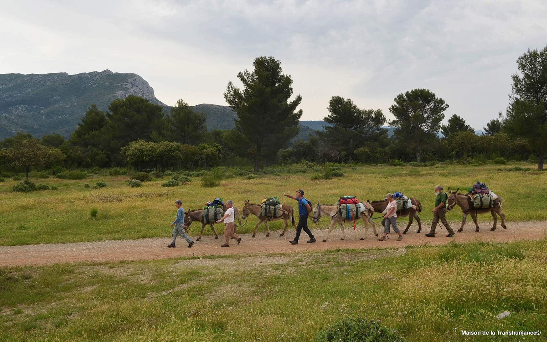 La Routo®. Sur les pas de la transhumance