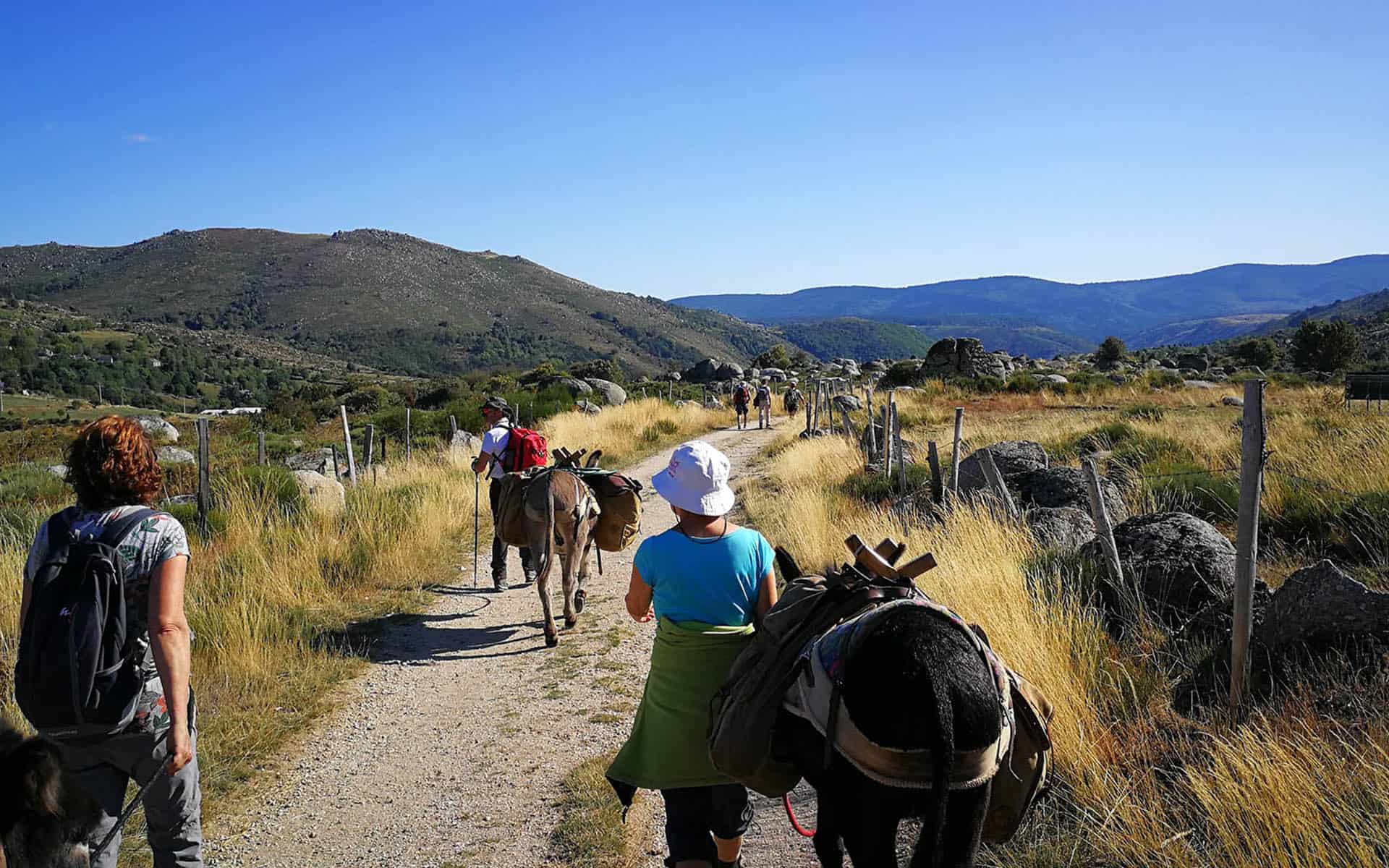 GR® 70 Chemin de R-L Stevenson