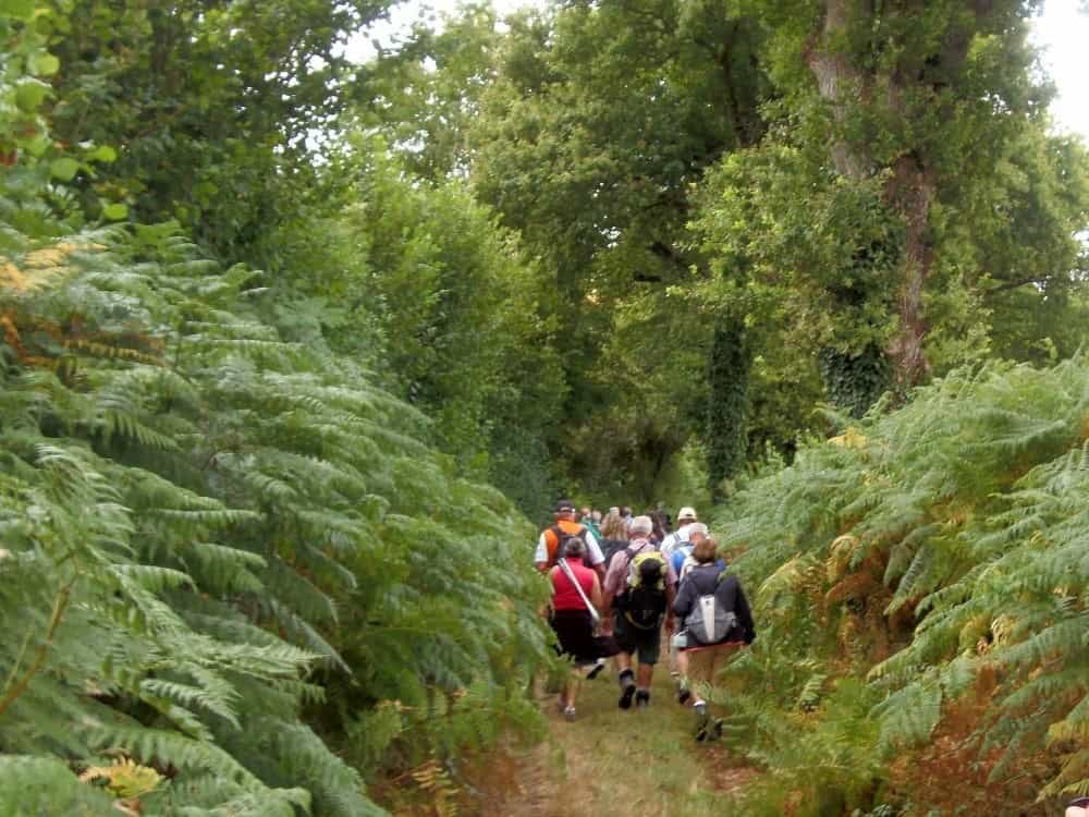 Randonnée sur les pas des Maîtres Sonneurs entre Berry et Bourbonnais